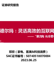 家电：“新方向&冷思考”2023W27-德尔玛：灵活高效的互联网家电新秀