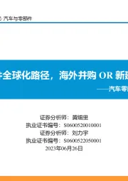 汽车零部件出海报告:零部件全球化路径,海外并购OR新建投资
