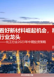 化工行业2023年中期投资策略：看好新材料崛起机会，精选顺周期行业龙头