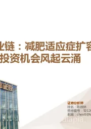 医药生物行业专题：多肽产业链：减肥适应症扩容行业，投资机会风起云涌