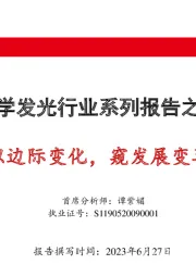 化学发光行业系列报告之二:以边际变化,窥发展变革