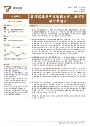 公用事业行业点评：6月储能招中标数据出炉，看好后续订单增长