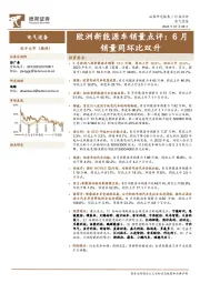 欧洲新能源车销量点评：6月销量同环比双升