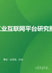 中国工业互联网平台研究报告：野蛮生长