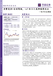 电子行业周报：消费复苏+自动驾驶，IoT和SiC底部值得关注