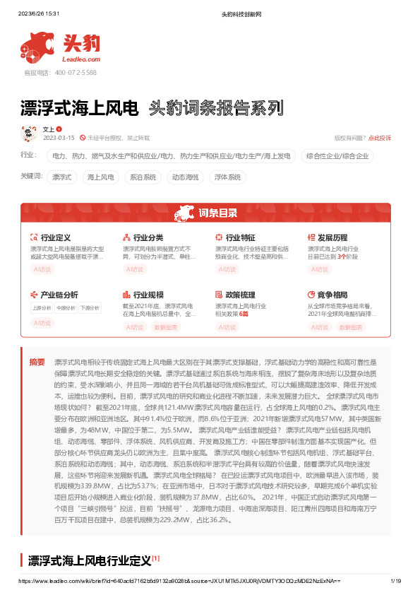 漂浮式海上风电 头豹词条报告系列