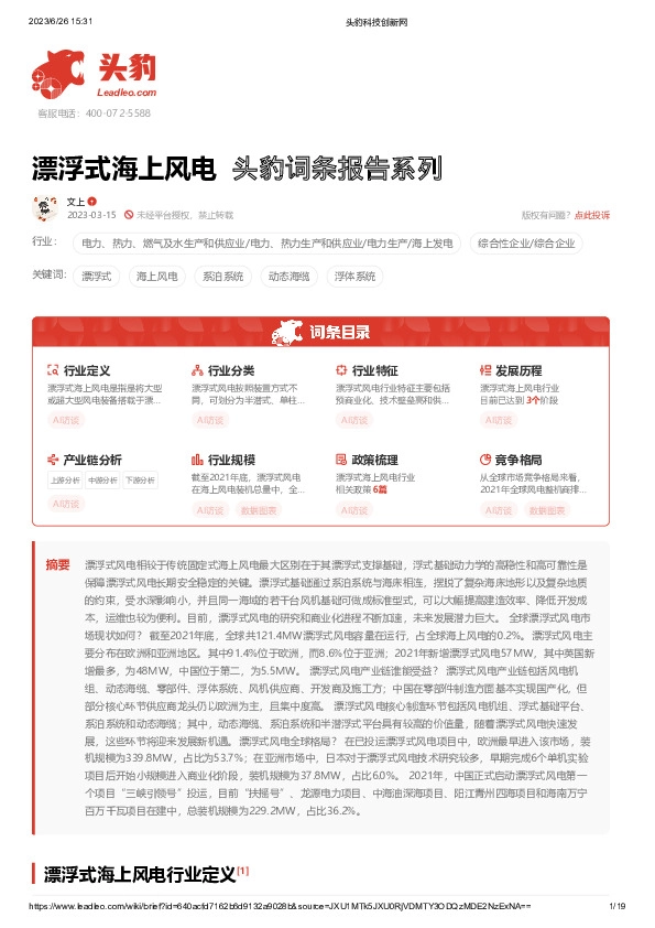 漂浮式海上风电 头豹词条报告系列