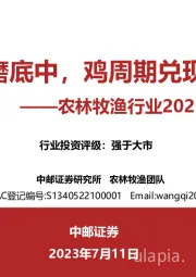 农林牧渔行业2023年中期策略报告：猪周期磨底中，鸡周期兑现进行时