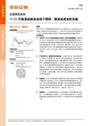 汽车行业比较研究系列：15-20万插混战略单品线下调研：渠道或成决胜关键