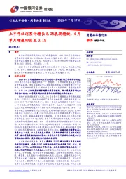 消费品零售行业:上半年社消累计增长8.2%表现稳健,6月单月增速回落至3.1%