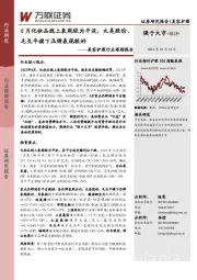 美容护理行业跟踪报告：6月化妆品线上表现较为平淡，丸美股份、毛戈平旗下品牌表现较好