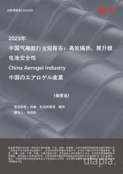 2023年中国气凝胶行业短报告：高效隔热，提升锂电池安全性（摘要版）
