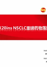 医药：EGFR EX20ins NSCLC重磅药物落地在即
