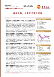 公用事业与环保行业周报：硅价反转，火电开工有所提速