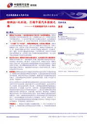 汽车行业深度报告：中美新能源汽车工业对比-特斯拉+比亚迪，引领中国汽车强国之路