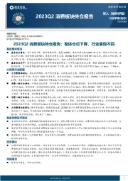 2023Q2消费板块持仓报告：整体仓位下降，行业表现不同