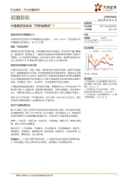 石油石化行业专题研究：中国是否会迎来“页岩油革命”？