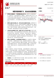 房地产行业深度研究：商管市场持续扩大，龙头企业经营提效