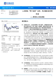 新型电力系统周报：山东新版“两个细则”发布，风光储收益有望改善