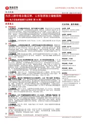 电力设备新能源行业周报(第30周):光伏上游价格企稳反弹,山东取消独立储能限制