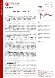 大消费行业：政策暖风频吹，消费拨云见日
