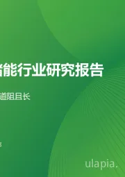 中国储能行业研究报告：潜力待发，道阻且长
