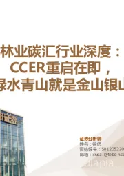 林业碳汇行业深度：CCER重启在即，绿水青山就是金山银山