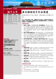 显示驱动芯片行业深度：面板复苏自下而上传导，供应链本土化势不可挡