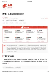 烤鱼 头豹词条报告系列
