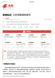 培育钻石 头豹词条报告系列