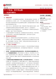 贵金属专题报告:下一个机会:坚守贵金属