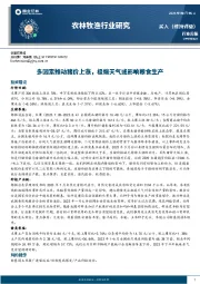 农林牧渔行业研究：多因素推动猪价上涨，极端天气或影响粮食生产