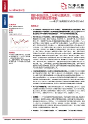电子行业周报：海外科技龙头上半年业绩承压，中国高端手机消费逆势增长