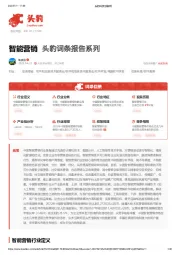 智能营销 头豹词条报告系列