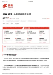 RNAi疗法 头豹词条报告系列