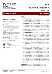 锂电池行业月报：销量环比回落，短期谨慎关注