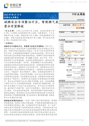 环保及公用事业行业周报：城燃安全专项整治开启，智能燃气表需求有望释放