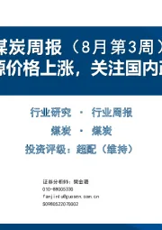 煤炭周报（8月第3周）：海外能源价格上涨，关注国内政策落地