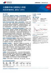 公用事业行业专题：大国碳中和之新型电力系统-灵活性调节需求释放，虚拟电厂大有可为