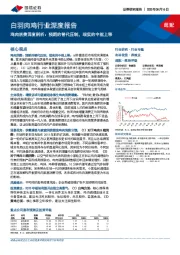 白羽肉鸡行业深度报告:鸡肉消费深度剖析,预期的替代压制,现实的中枢上移