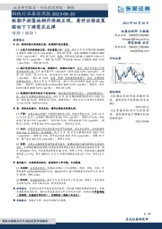 钢铁行业跟踪周报：短期平控落地钢价涨跌互现，看好后续政策驱动下下游需求反弹