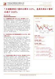 能源金属行业动态报告:7月碳酸锂进口量环比增长1.12%,氢氧化锂出口量环比减少12.01%