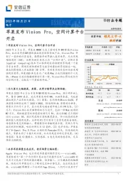 电子行业专题：苹果发布Vision Pro，空间计算平台开启