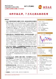 公用事业与环保行业周报：硅料价格反弹，7月风光装机维持高增