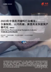 2023年中国药用辅料行业概览：尔康制药、山河药辅，展望药业加速国产替代化（摘要版）