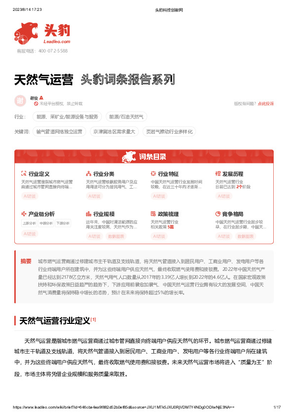 天然气运营 头豹词条报告系列