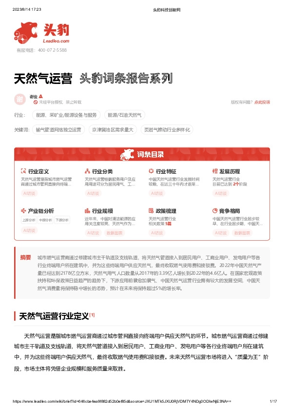 天然气运营 头豹词条报告系列