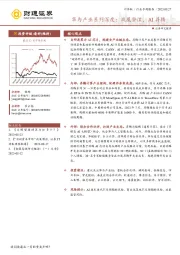 计算机行业专题报告：华为产业系列深度：凤凰磐涅，AI昇腾