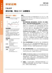 非银行金融行业点评：资负共振，阳光23H1业绩增长