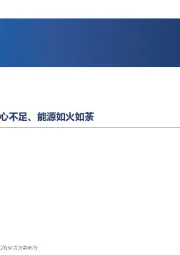 新能源行业周报W3：政策发力、有反转微光，信心不足、能源如火如荼